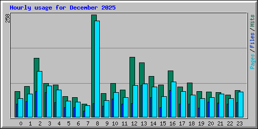 Hourly usage for December 2025