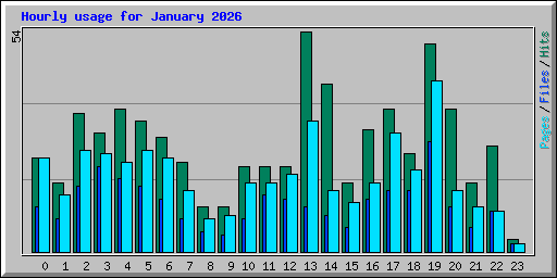 Hourly usage for January 2026